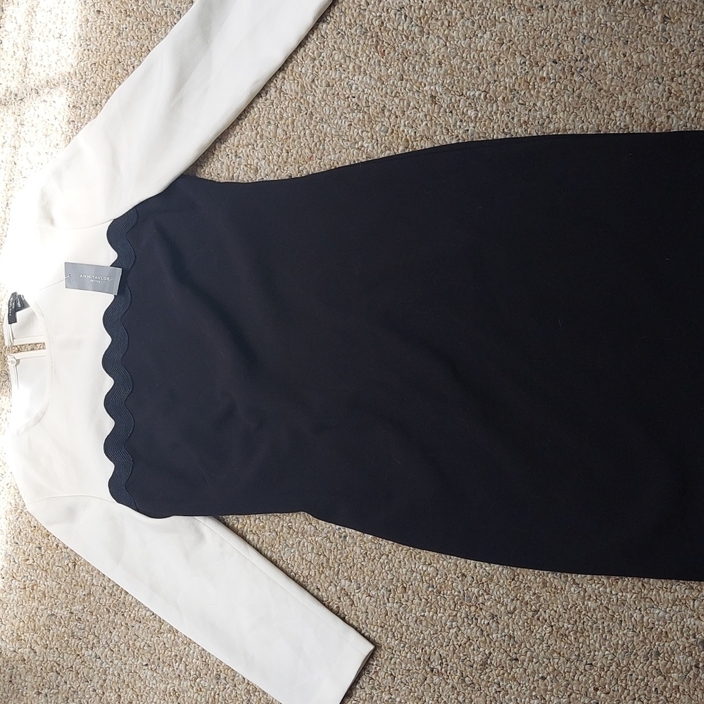 NWT!! Ann taylor petite dress (00p)